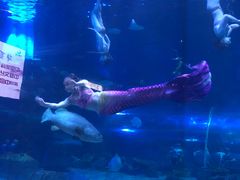 -华夏文旅海洋公园