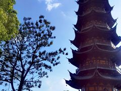 -龙华素斋(龙华路店)