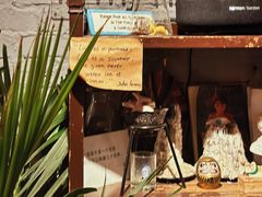 -古耳咖啡(北锣店)