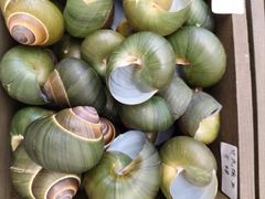 -万达广场(武汉菱角湖店)