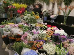 -双季花艺园艺市场(浦东店)