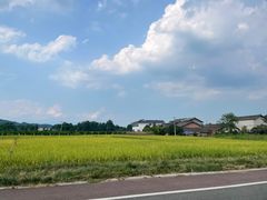 -芦沟竹海