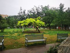 -双榆树公园