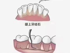 -维乐口腔·埃齐门诊(静安店)