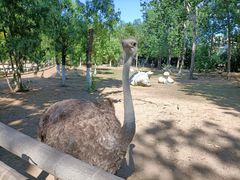 -大连森林动物园