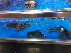 -神农美特好生鲜超市(康宁街店)