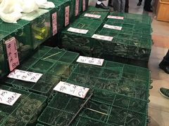 -荔城生鲜盛宴(番禺旗舰店)