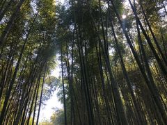 -石塘人家