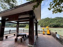 -广州白江湖森林公园