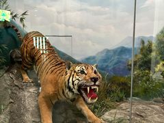 -国家自然博物馆