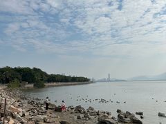 -深圳湾公园(南山区)