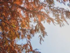 -厦门园林博览苑