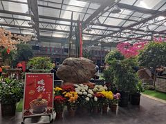 -老磨油饼(高陵店)