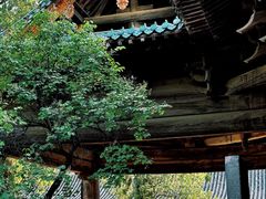 -窦大夫祠