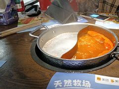-呷哺呷哺 小火锅 (浦东新欧尚超市店)