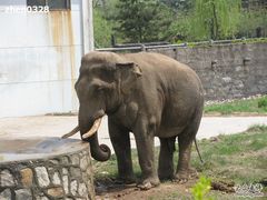 -西安秦岭野生动物园