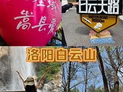 -洛阳白云山景区