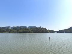 -华侨城湿地公园
