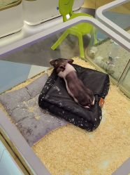 -meland亲子乐园•派对•研学(苏州悠方购物中心店)