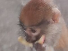 -济南野生动物世界