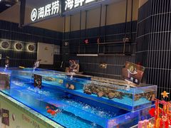-海底捞火锅(长宁路龙之梦店)