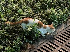 -苏州河梦清园环保主题公园