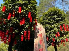 -白云山风景名胜区