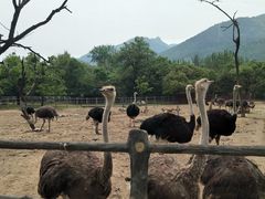 -西安秦岭野生动物园