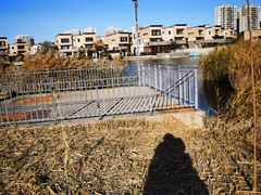 -天津东丽湖风景区