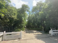 -青龙山国家森林公园