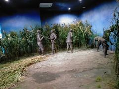 -前小桔亲子创意农场·草莓采摘·露营烧烤