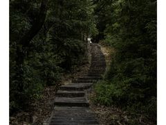 -广州市流溪河国家森林公园