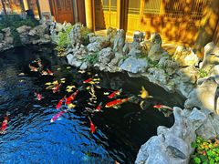 -鲤院·新中式美学·庭院餐厅(夫子庙店)