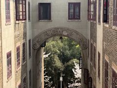 -武汉大学-樱园