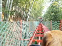 -藏龙百瀑风景区