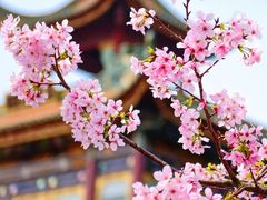 -宝墨园景区