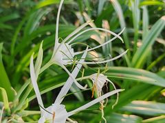 -厦门悦华酒店