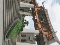 -南宁良凤江国家森林公园