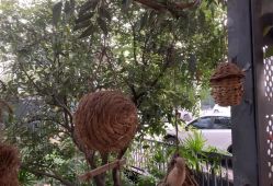 点击看大图 -金芙美月子中心(财富别墅店)
