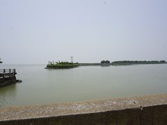 -大湾区中央湿地公园