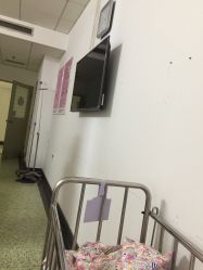 -北京妇产医院(东院)