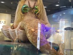 -成都泰迪熊博物馆