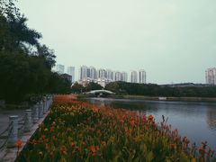 -南宁南湖公园