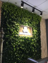 -星宝贝儿童摄影