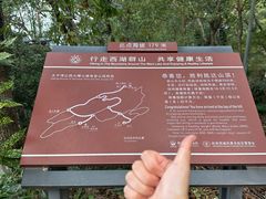 -九曜山