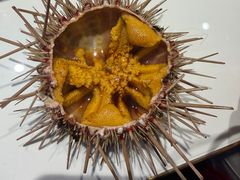 -老大连·海肠捞饭·大连海鲜大连菜(西安路店)