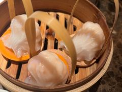 招牌虾饺皇-金鼎轩(方庄天坛店)