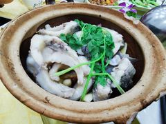 -台山美食一绝阿四台山黄鳝饭(阿四创作店)