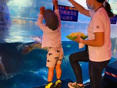 -烟台海昌鲸鲨海洋公园