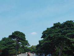 -北陵公园